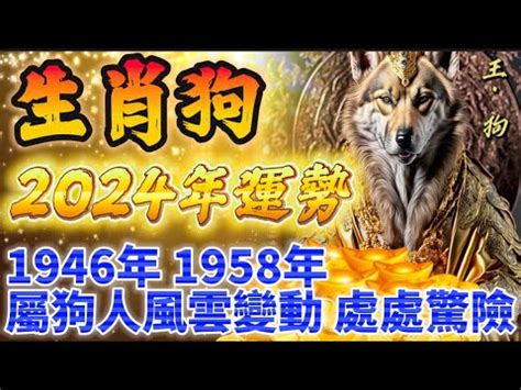 1958年屬什麼生肖|1958年属什么生肖 1958年阳历农历出生的人命运